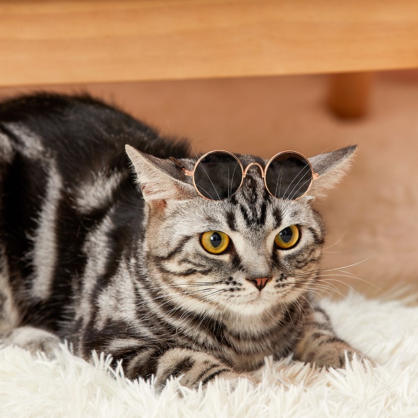 Pet Sunglasses UV Sun Glasses Eye Protection